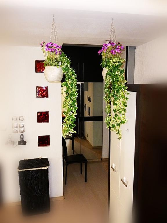 Ditton Apartment City Center 다우가프필스 객실 사진
